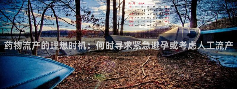 28圈可以退款吗：药物流产的理想时机