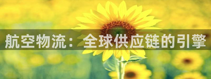 28圈登录：航空物流：全球供应链的引