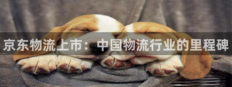 28圈返水怎么算的