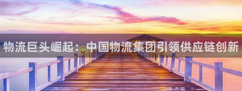 28圈充值不到账：物流巨头崛起：中国