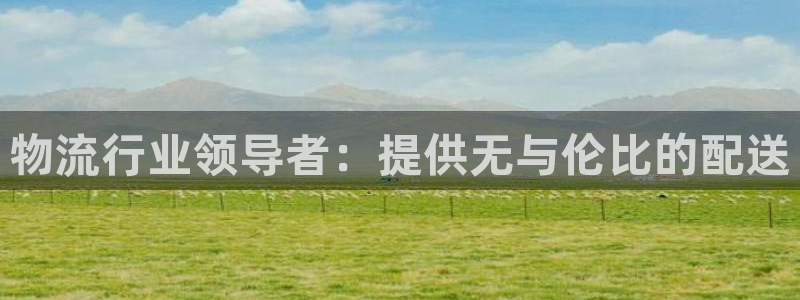 28圈预测网：物流行业领导者：提供无