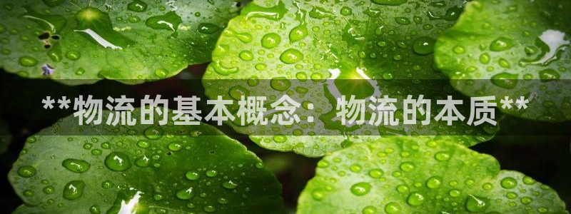 28圈技巧：**物流的基本概念：物流
