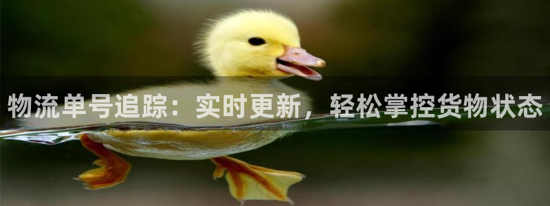 28圈电子游戏：物流单号追踪：实时更