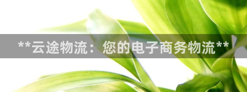 28圈官网平台：**云途物流：您的电