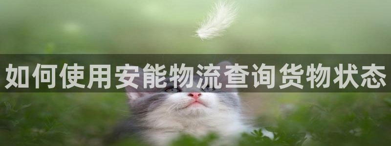 南宫28圈官网：如何使用安能物流查询