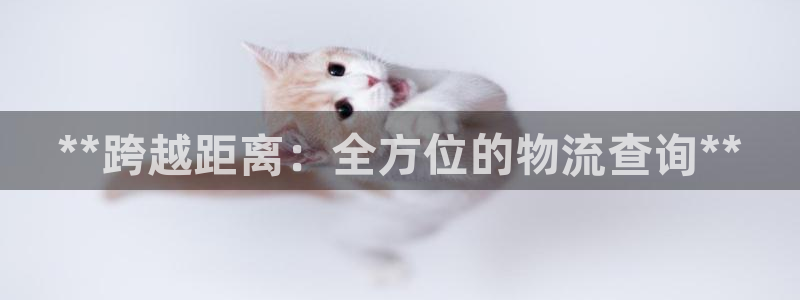 28圈下载链接是多少