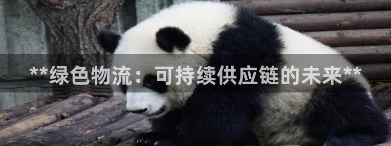 28圈官网多少：**绿色物流：可持续