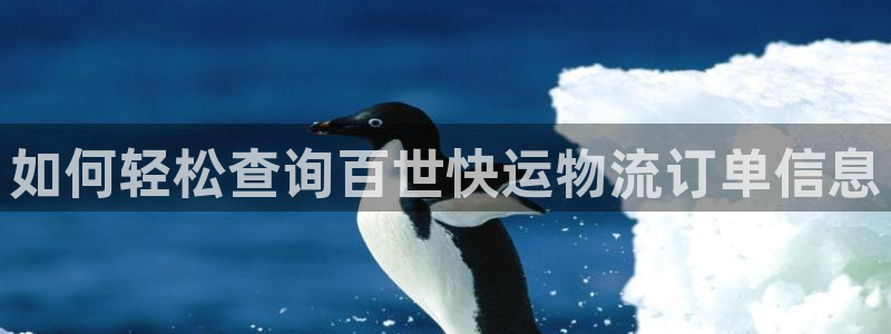 28圈注册号：如何轻松查询百世快运物