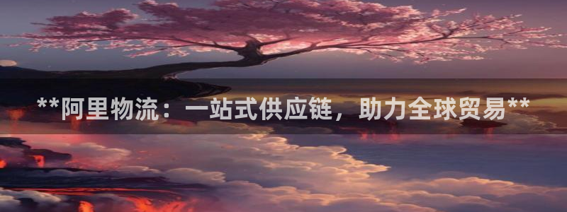 28圈黑不黑：**阿里物流：一站式供