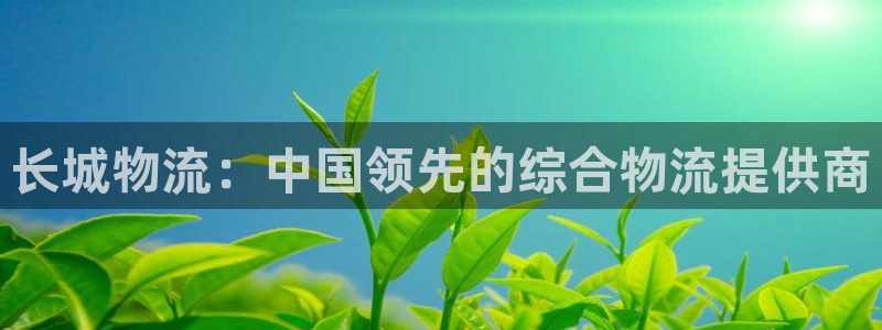28圈模拟：长城物流：中国领先的综合