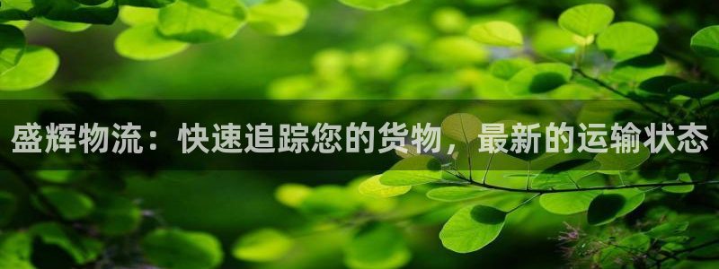 28圈游戏最新版：盛辉物流：快速追踪