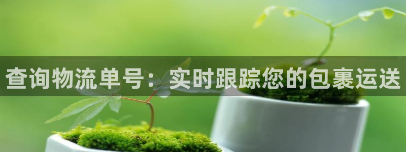 28圈模拟器在线使用：查询物流单号：