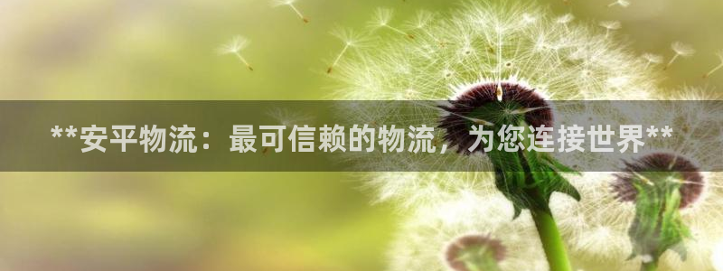 28圈注册网站加拿大：**安平物流：
