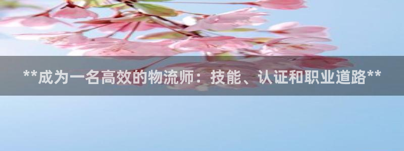 28圈官网平台下载：**成为一名高效