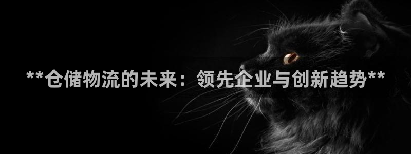 28圈可以退款吗：**仓储物流的未来