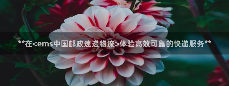 28圈登录用户名登录不上：**在<e