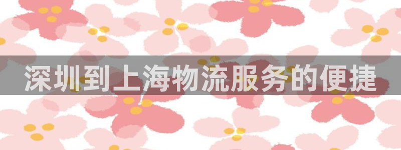 28圈分分28输了能不能退：深圳到上