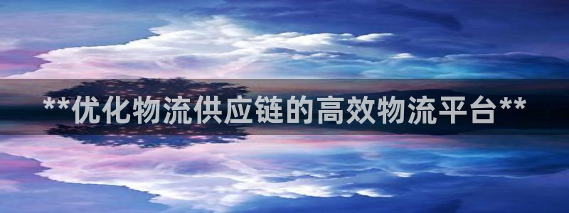 28圈怎么申请代理：**优化物流供应