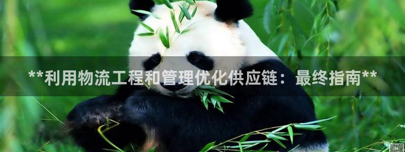 28圈平台注册：**利用物流工程和管