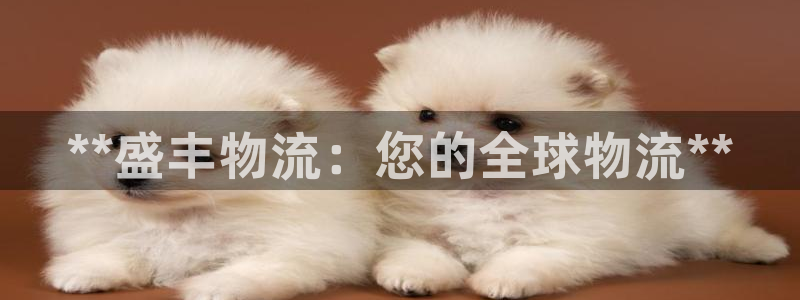 28圈怎么注册下载：**盛丰物流：您