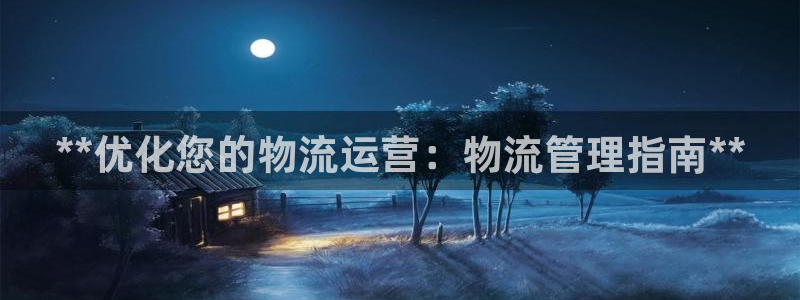 28圈注册与教程：**优化您的物流运