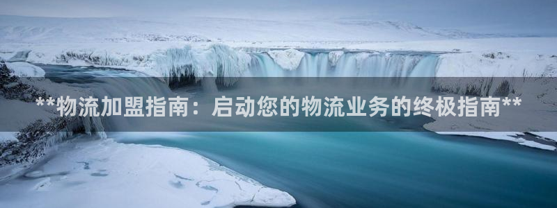 28圈pg麻将胡了：**物流加盟指南