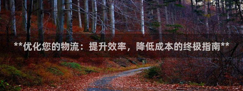 28圈注册链接教程：**优化您的物流