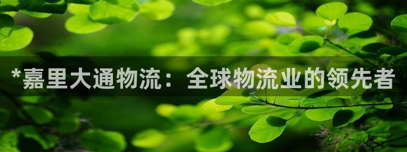 28圈加拿大模拟器：*嘉里大通物流：