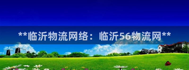 南宫28圈怎么注册：**临沂物流网络