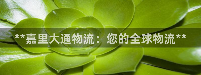 28圈黑款：**嘉里大通物流：您的全