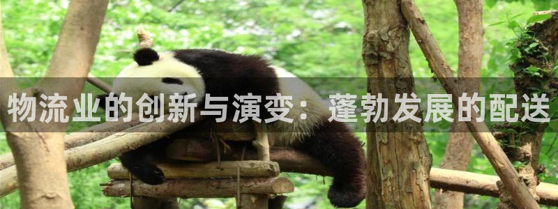 28圈注册网站链接是什么：物流业的创
