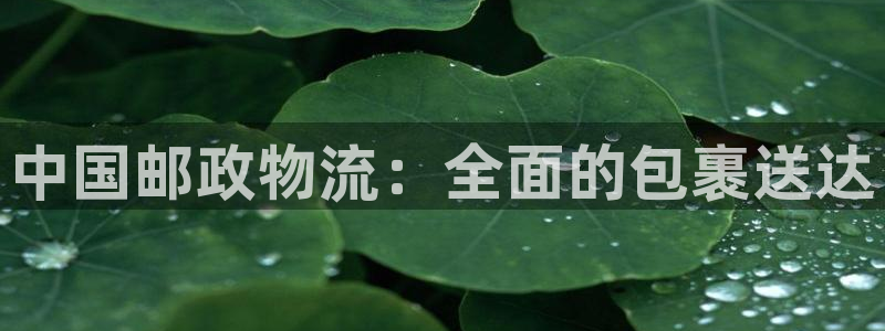28圈注册平台：中国邮政物流：全面的
