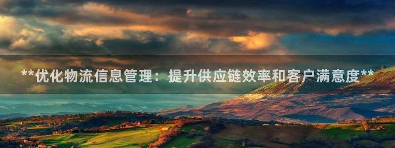 28圈p图上分下款通道：**优化物流