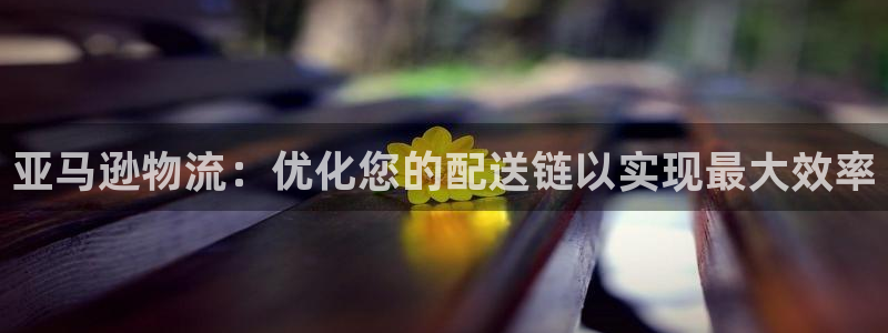 28圈加拿大在线预测