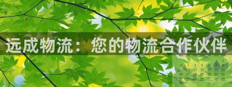 28圈加拿大pc预测：远成物流：您的