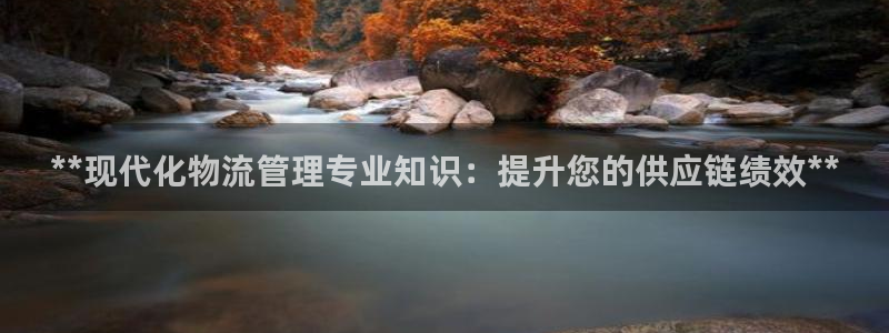 28圈注册条件：**现代化物流管理专
