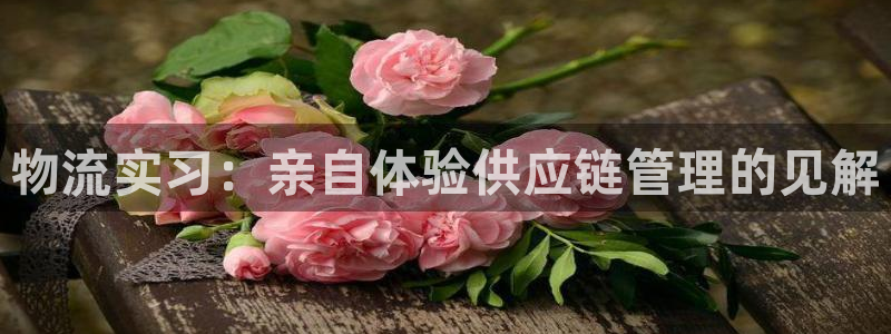 28圈注册链接教程：物流实习：亲自体