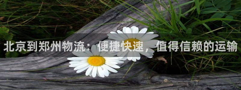 加拿大28圈注册链接：北京到郑州物流