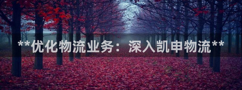 28圈注册入口与教程：**优化物流业
