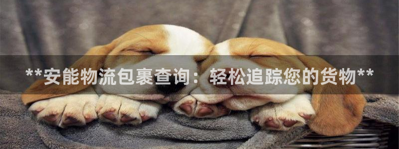 28圈注册官网：**安能物流包裹查询