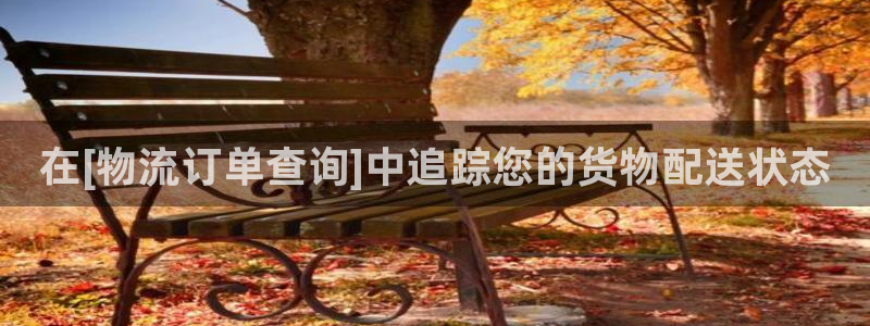 28圈黑款：在[物流订单查询]中追踪