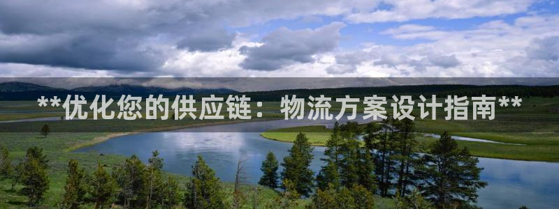 28圈人头费：**优化您的供应链：物