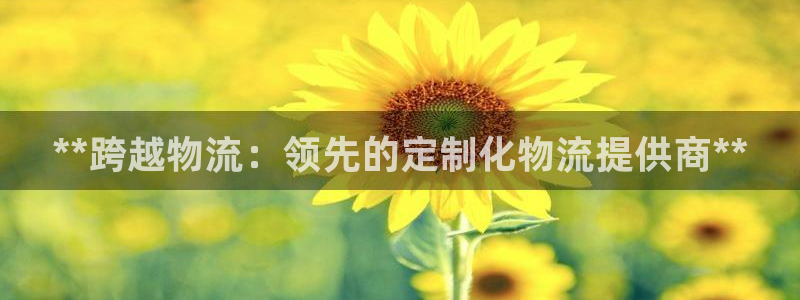 28圈注册网站多少钱：**跨越物流：