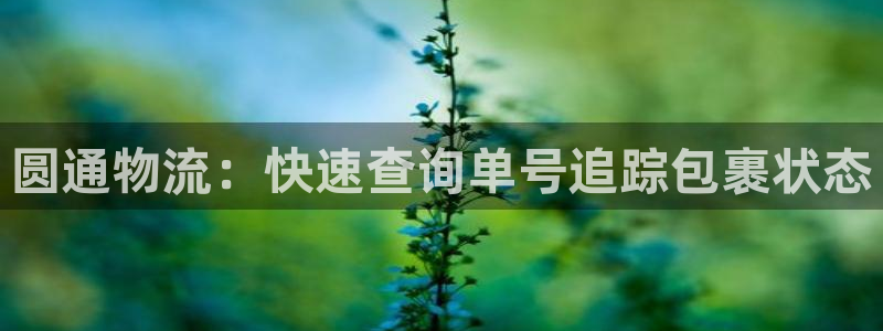 28圈大舞台