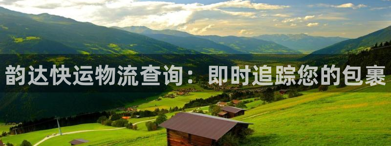 加拿大28圈注册链接：韵达快运物流查