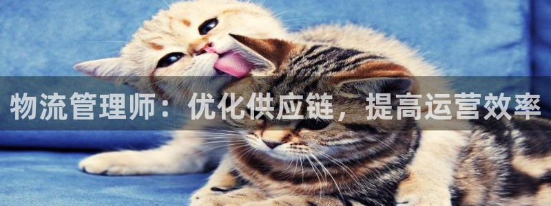 28圈ccm官网版：物流管理师：优化