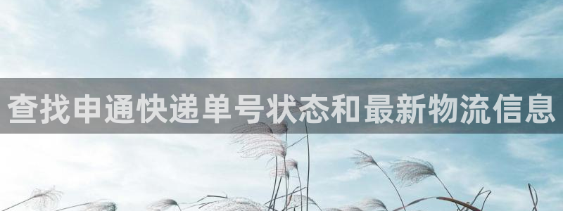 28圈游戏最新版