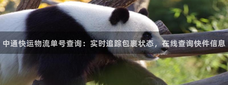 28圈cn：中通快运物流单号查询：实