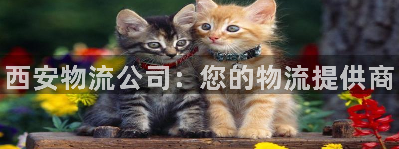 28圈游戏官网入口：西安物流公司：您