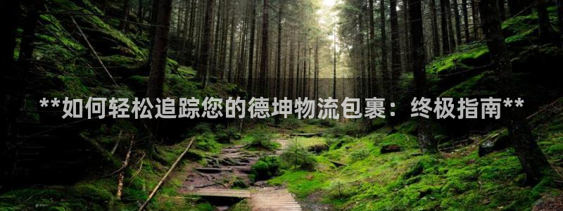 28圈流水怎么算：**如何轻松追踪您